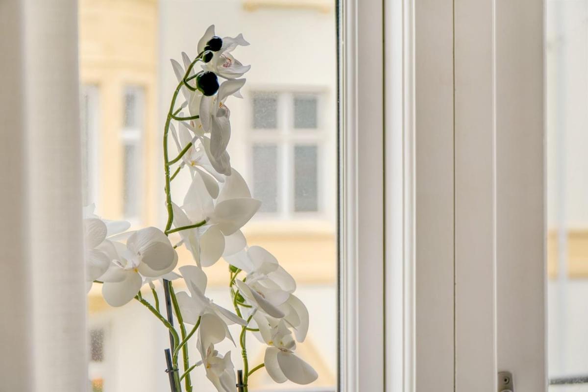 Homely And Spacious In Cph København